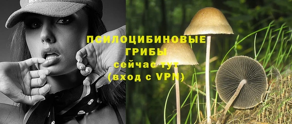 ешки Нефтекумск